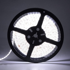 12V 2835 LED Strip Lights