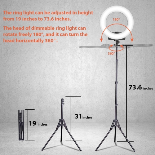 5 Core 10'' Ring Light with Extendable Tripod Stand and Gooseneck Phone  Holder RL 10 & Reviews | Wayfair