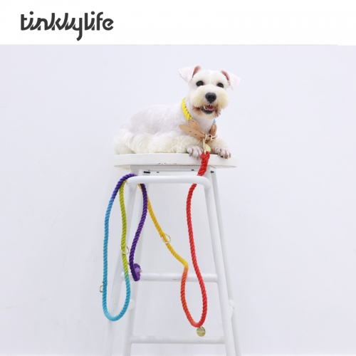 PUPPY RAINBOW LEASH 6IN1 STYLE