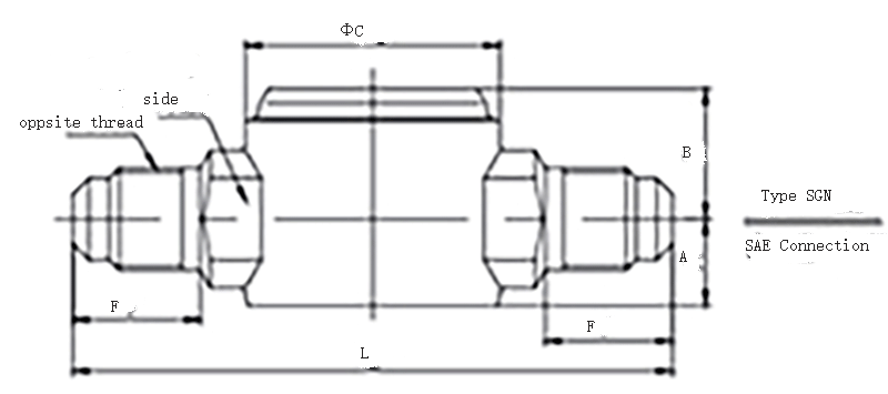 Model SG Sight Glass