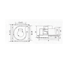 Curva Fan/Light