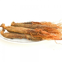 Pure Natural 6-Year-old Changbaishan Red Panax Ginseng Root Herbs * Free Shipping