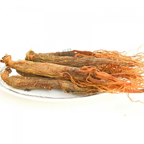 Pure Natural 6-Year-old Changbaishan Red Panax Ginseng Root Herbs * Free Shipping