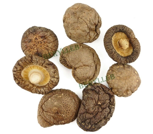 High Grade Dried Dong Gu Ru Ben Shiitake Mushroom * Free Shipping