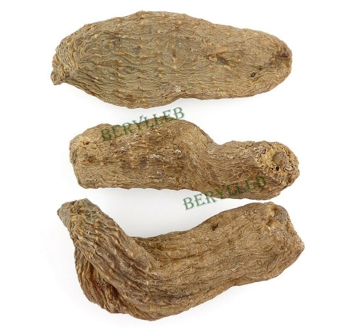 Top Grade Wild Tian Ma Gastrodia elata Root Herbs * Free Shipping