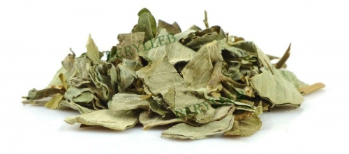 Jin Qian Cao Desmodium Styracifolium Eliminating Stone Herbal Tea * Free Shipping
