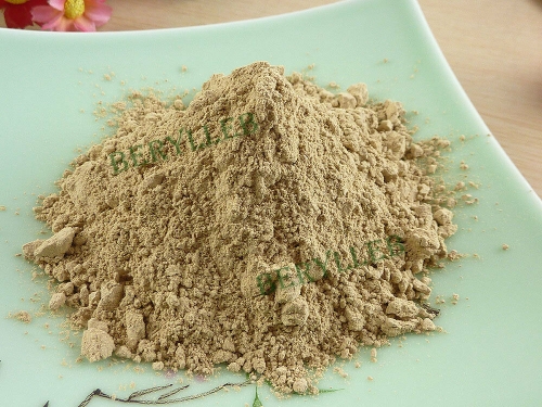 High Grade Yunnan Wen Shan San Qi Powder * Free Shipping