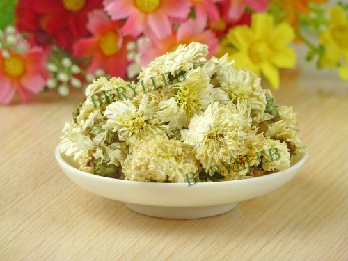 Superfine Huangshan Gongju Tribute Chrysanthemum Flower Tea * Free Shipping