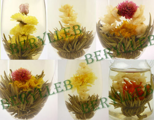 30 High Quality Blooming Jasmine Flower Green Teas * Free Shipping