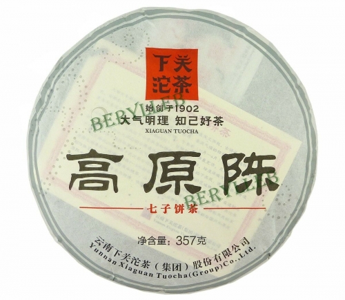 High Mountain Aged Gao Yuan Cheng * 2013 Yunnan Xiaguan Raw Pu’er Tea * Free Shipping