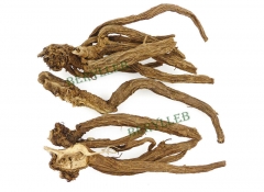 Wild Xu Duan Radix Dipsaci Root Herbs * Free Shipping