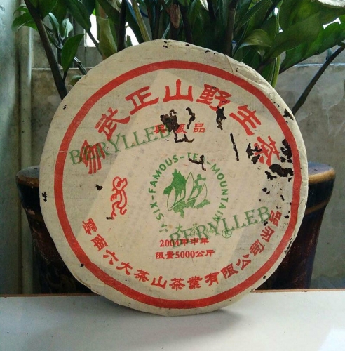 Yiwu Zheng Shan Wild Tea * 2004 Yunnan Liu Da Cha Shan Raw Pu'er Tea Cake 357g * Free Shipping