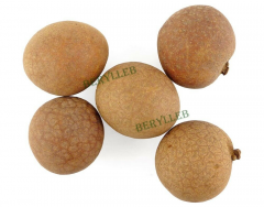 Top Grade Dried Gui Yuan Longan Fruit * Free Shipping