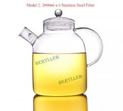 Model 2: 2000ml w/t Stainless Steel Filter