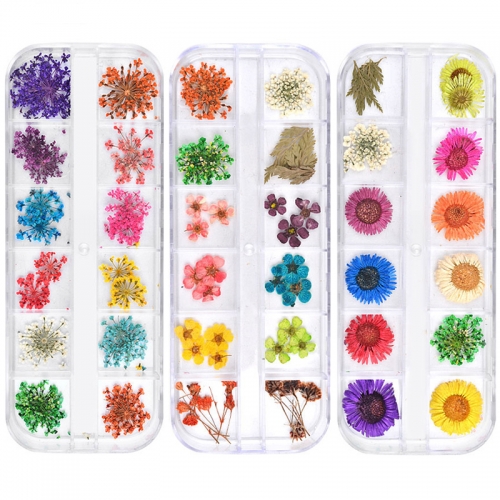 12designs/set Dried Flowers Nail Art Decorations 3d Natural Daisy Gypsophila Preserved Dry Flower DIY Stickers Manicure Accessories