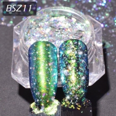 BSZ11