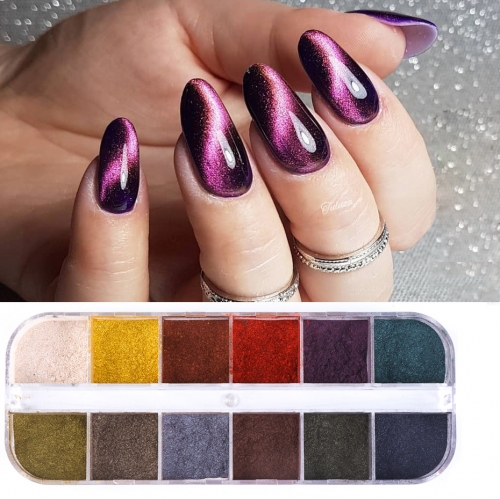 12 Colors/case 5D Cat Eye Nail Powder Pigment Chameleon Magnetic Nail Art Glitter Gel Polish Dust Chrome Magnet Stick
