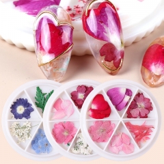 1wheel Mix Natural Nail Dried Flowers 3D Nail Art Decorations Jewelry Pressed Blossom Floral Leaf Sticker Slider Polish Manicure