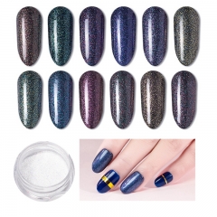 12 Colors/set Shining Nail Powder Dust Starry Sky Chameleon Nail Pigment