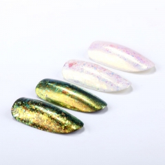 Factory Direct Sales High Quality Holographic Chrome Nail Powder Pigment Chameleon Neon Nail Pigment