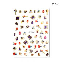 ZY3001