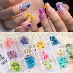 Nail Art Dry Flower 6 Grid Boxed Japanese Sun Flower Gypsophila Natural Flower DIY Nail Decoration