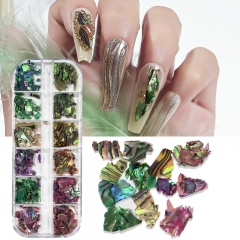 1 Box Nails Abalone Shell Fragments Texture Natural Sea Shell 3d Charm Nail Art Decoration Slice DIY Beauty Salon Tools 