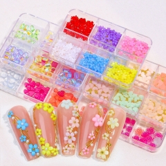 1box Nail Art Nail Decors 3D Flower Thick Resin Pieces/Beads Discoloration Nail Charm for DIY Nail Beauty Thick 3D Decorations