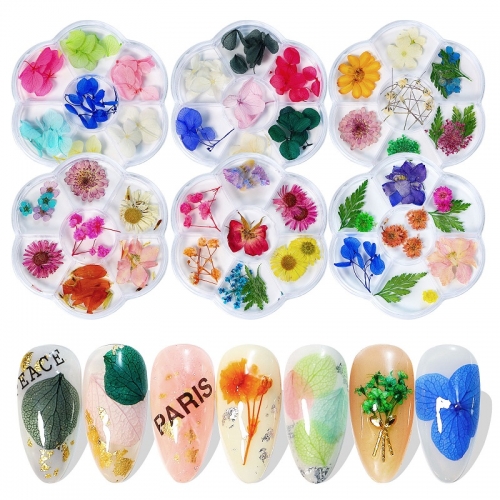 1 Box 3D Dried Flower Nail Decoration Natural Floral Sticker Mixed Dry Flower DIY Nail Art Decals Jewelry UV Gel Polish Manicure