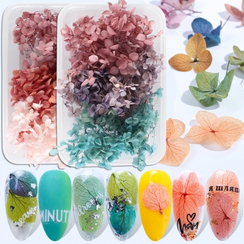 1box Dried Flowers Nail Decorations Natural Floral Sunflower Daisy Stickers 3D Nail Art Designs Polish Manicure Accessories
