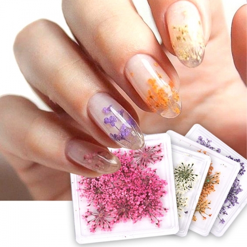 1pack Dried Flowers Nail Art Decorations Real Dried Flower Stickers DIY Manicure Charms Designs For Nails Accessories