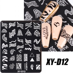 XY-D12