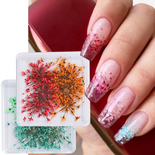1box Nail Stickers Real DryFlower Various Colors Handmade Full Sky Star Lace Real Flower DIY Nail Accessories