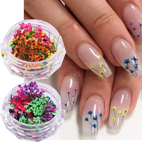 1jar Real Dried Flowers Nail Art Decoration Lace Petal Design Natural Pressed Floral Charm Plant Jewelry Nail Accessories