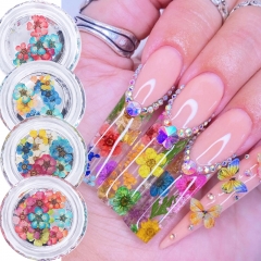 1Jar Dried Flower Nail Art Decoration Mini Real Natural Flower Nail Art Supplies 3D Dry Flowers Manicure DIY Nail Decoration