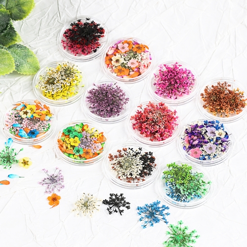 1Jar Multi-style Real Dried Flowers DIY Crafts Filling Material Epoxy Resin 3D Nail Dried Flower Nail Decoration
