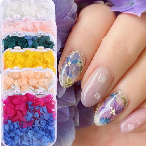 1Box Eternal Flowers Hydrangea Gradient Color Manicure Dry Flowers Stickers Nail Art Supplies and Decorations Nail Decoration