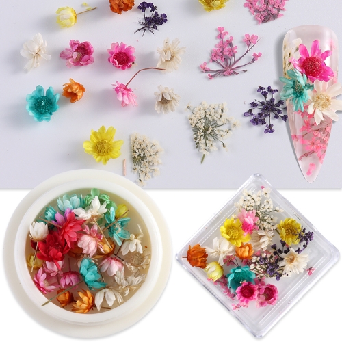 1Box 3D Mini Tiny Dry Flowers for Handicrafts - Resin Embossed Bulk DIY Nail Decoration Epoxy Resin Nail Decoration