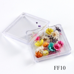 FF10