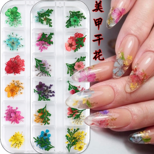 1Box 3D Summer Nail Mini Dried Flowers Sticker Set For Nail Art Resin Craft DIY Real Natural Dry Flower Nail Decoration 