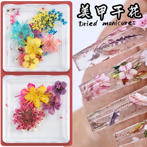1Box Dried Flower Nails Art Flower Nails Art Decoration for Acrylic Nails Manicure Accessories Nail Decoration 