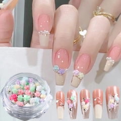 1jar Random Mixed Resin Flowers Nail Art Accessories Rose Nail Art Decorations Accessories Manicure DIY Crafts