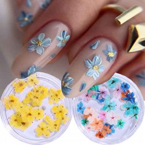 1Box Colorful Dry Flowers Nail Art Decoration Lovely Floral Sliders for Nails Natural Summer Fall Petals Manicure Charms Nail Decoration 