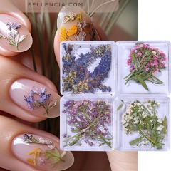 1Box Summer Sage Nail Art Flower Decoration Delicate Dried Flower Nail Charms Art Stickers Nail Art Beauty For Charms Accessories Nail Decoration 