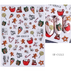 CS313