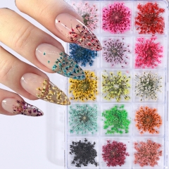 1box Dried Flowers Nail Art Decoration Natural Floral Dried Flower Press on Nail DIY Charms Decoration For Nails Accessories