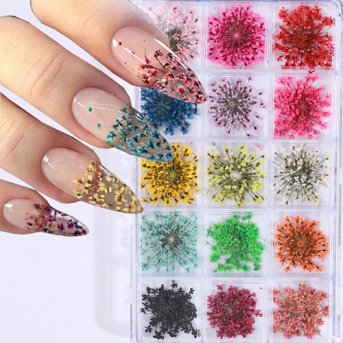 1box Dried Flowers Nail Art Decoration Natural Floral Dried Flower Press on Nail DIY Charms Decoration For Nails Accessories