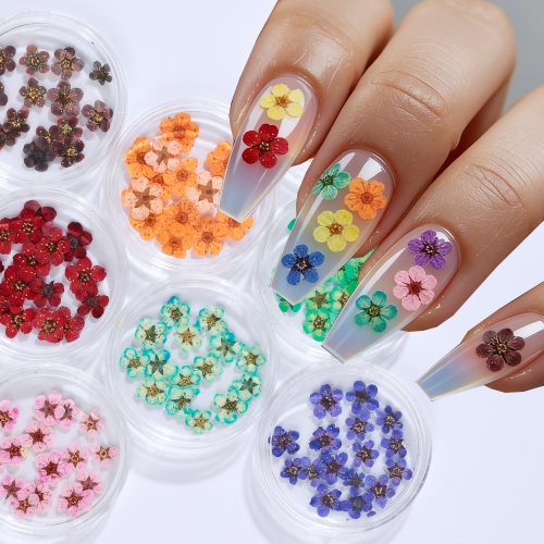 1jar Pressed Dried Narcissus Plum Blossom Flower For Epoxy Resin Jewelry Making Nail Art Craft DIY Accessories