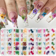 1box 3D Dried Flower for Nail Sticker Charms Natural Floral Mix Dry Flower DIY Colorful Decals UV Gel Polish Nail Art Manicure