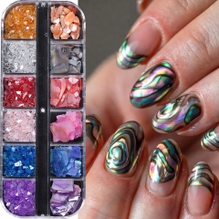 1box Abalone Shell Flakes Nail Art Decoration 3D Charms Irregular Seashell Fragment Aurora Slices DIY Manicure Accessories
